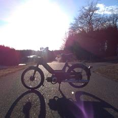 Puch maxi k E50