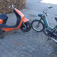 Puch maxi k E50