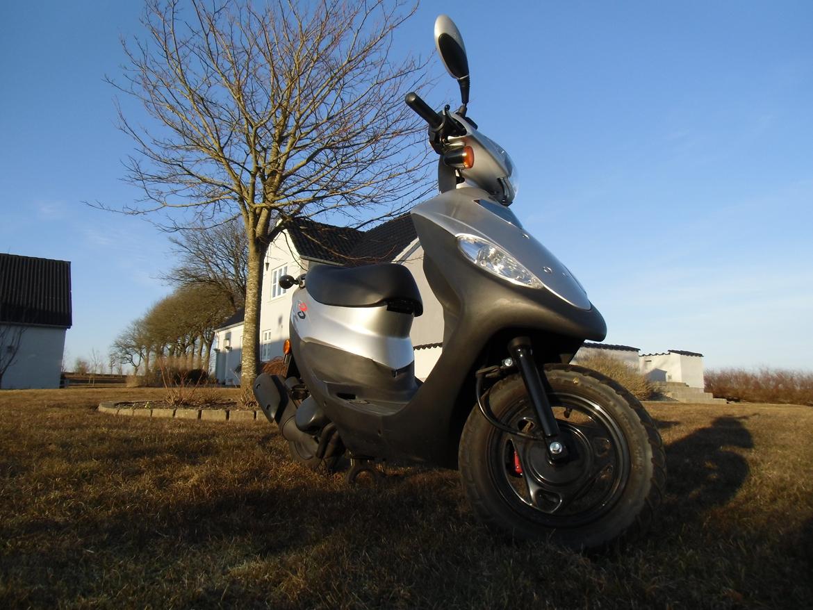 Sym DD 50 - Sym DD 50 billede 2