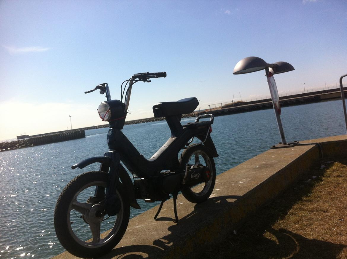 Piaggio Grillo billede 7