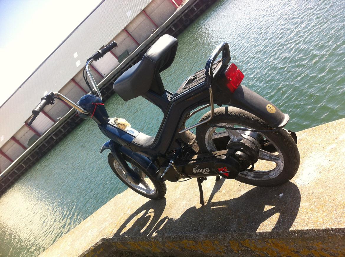 Piaggio Grillo billede 8