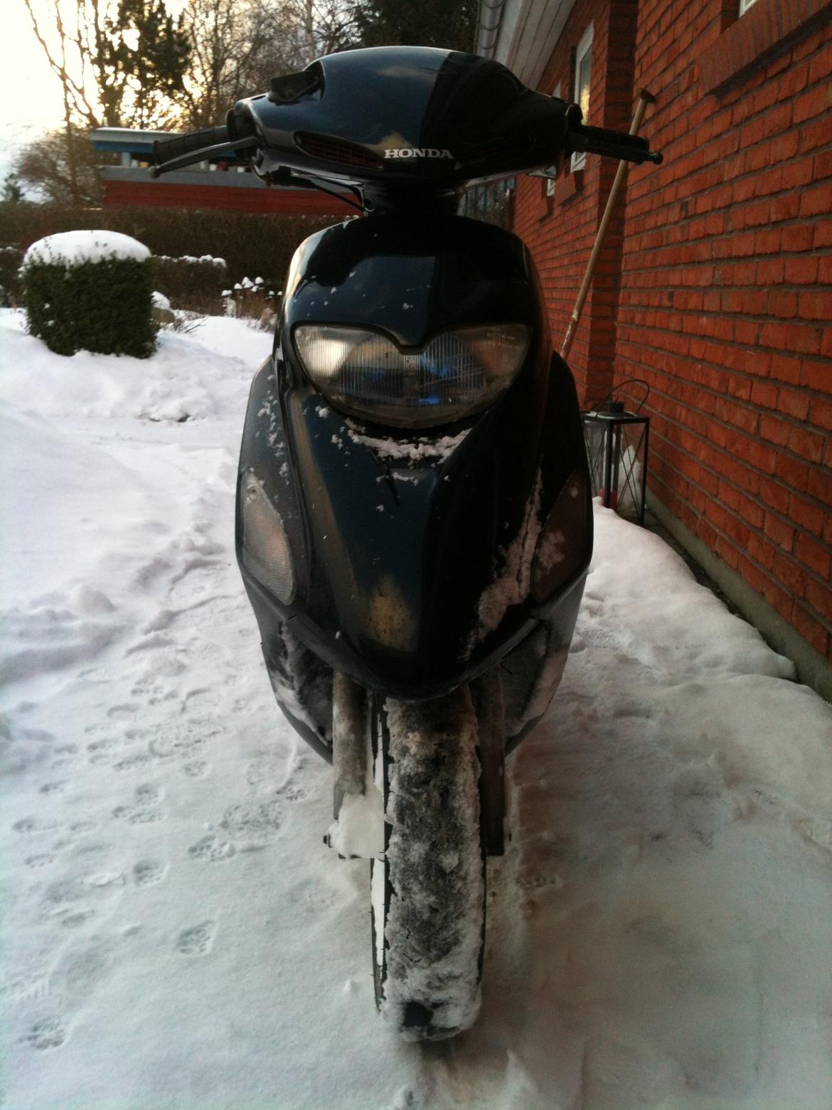 Honda Sfx - STD - Køre bare igennem alt det sne! billede 14