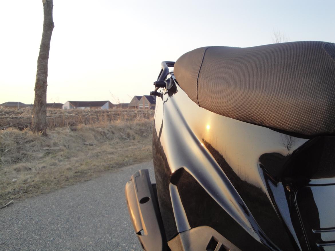 PGO Hot 50 Blackie billede 3