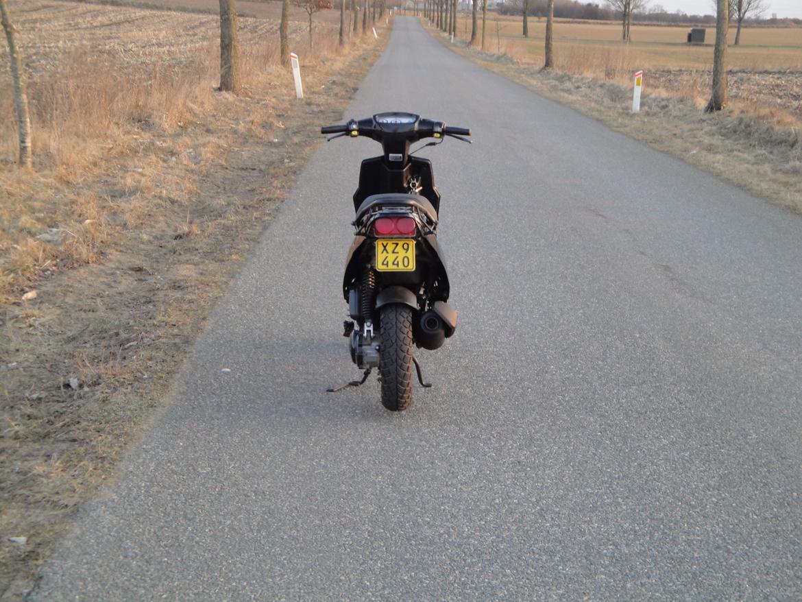 PGO Hot 50 Blackie billede 6