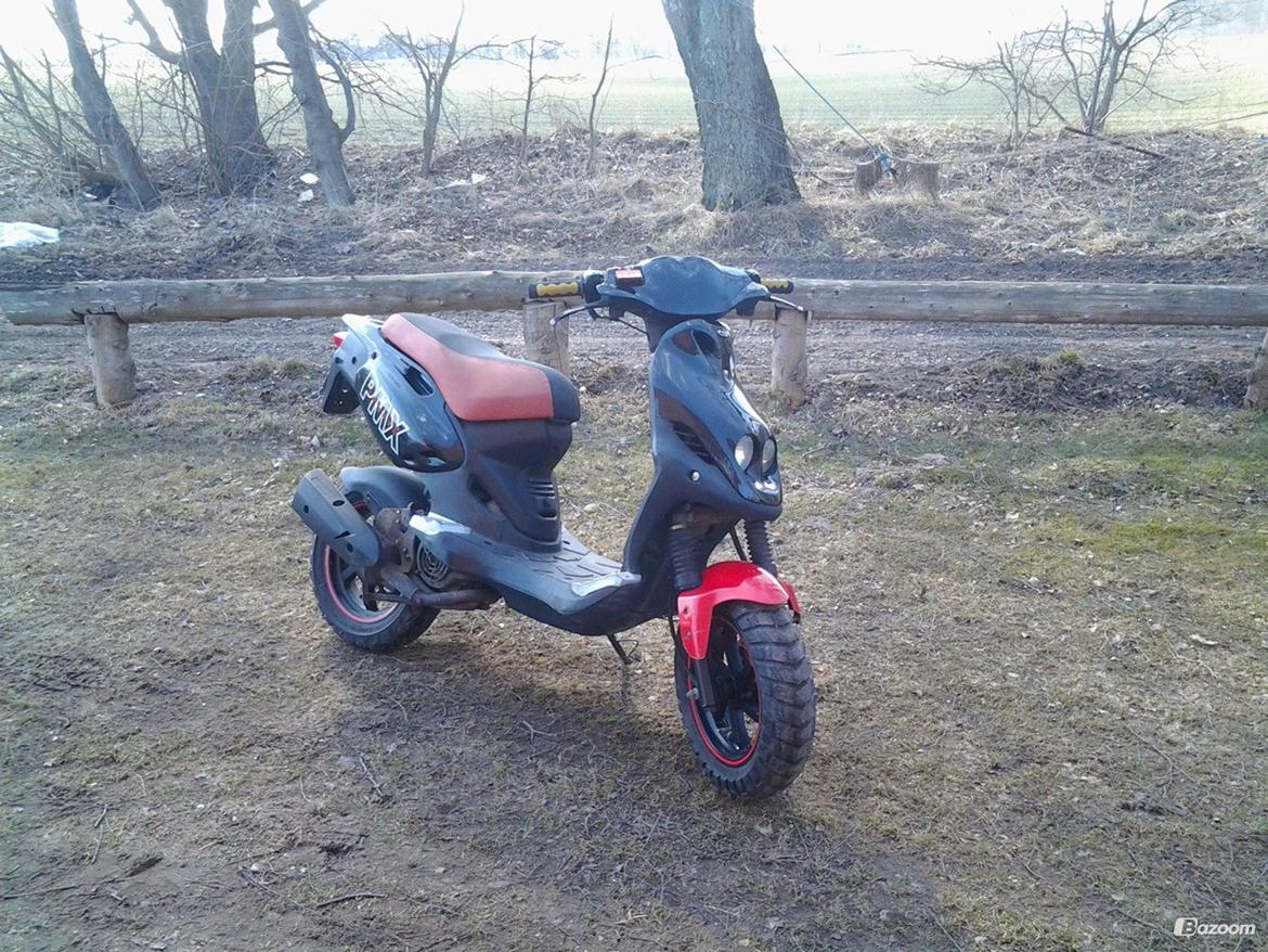 PGO pmx "jytte" billede 2