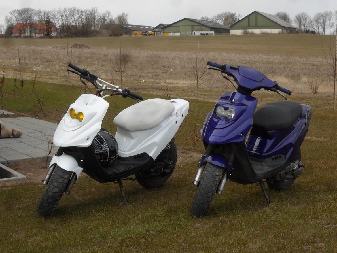 PGO HOT 50 - NYT, BEGGE HOTTE MED NYE SKJOLDE osv billede 6