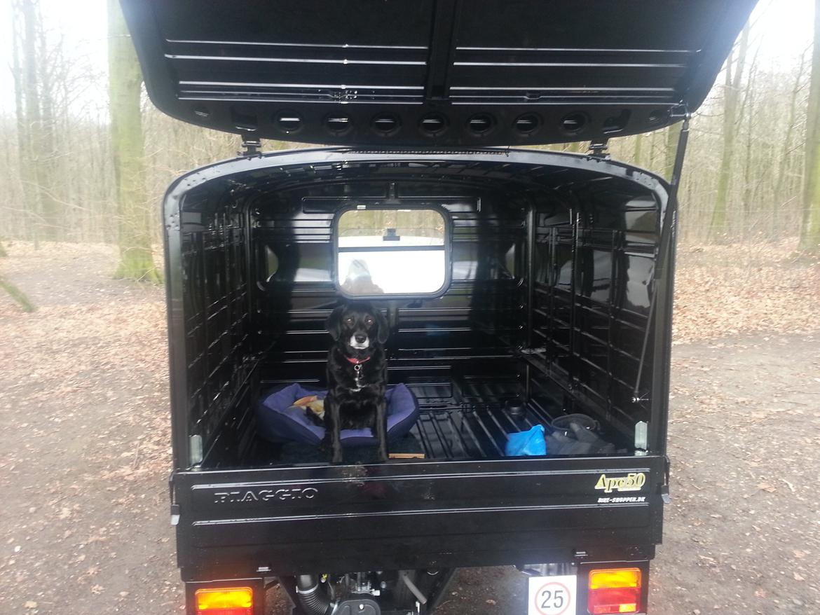 Piaggio Ape Van 50 - I hundeskoven billede 6