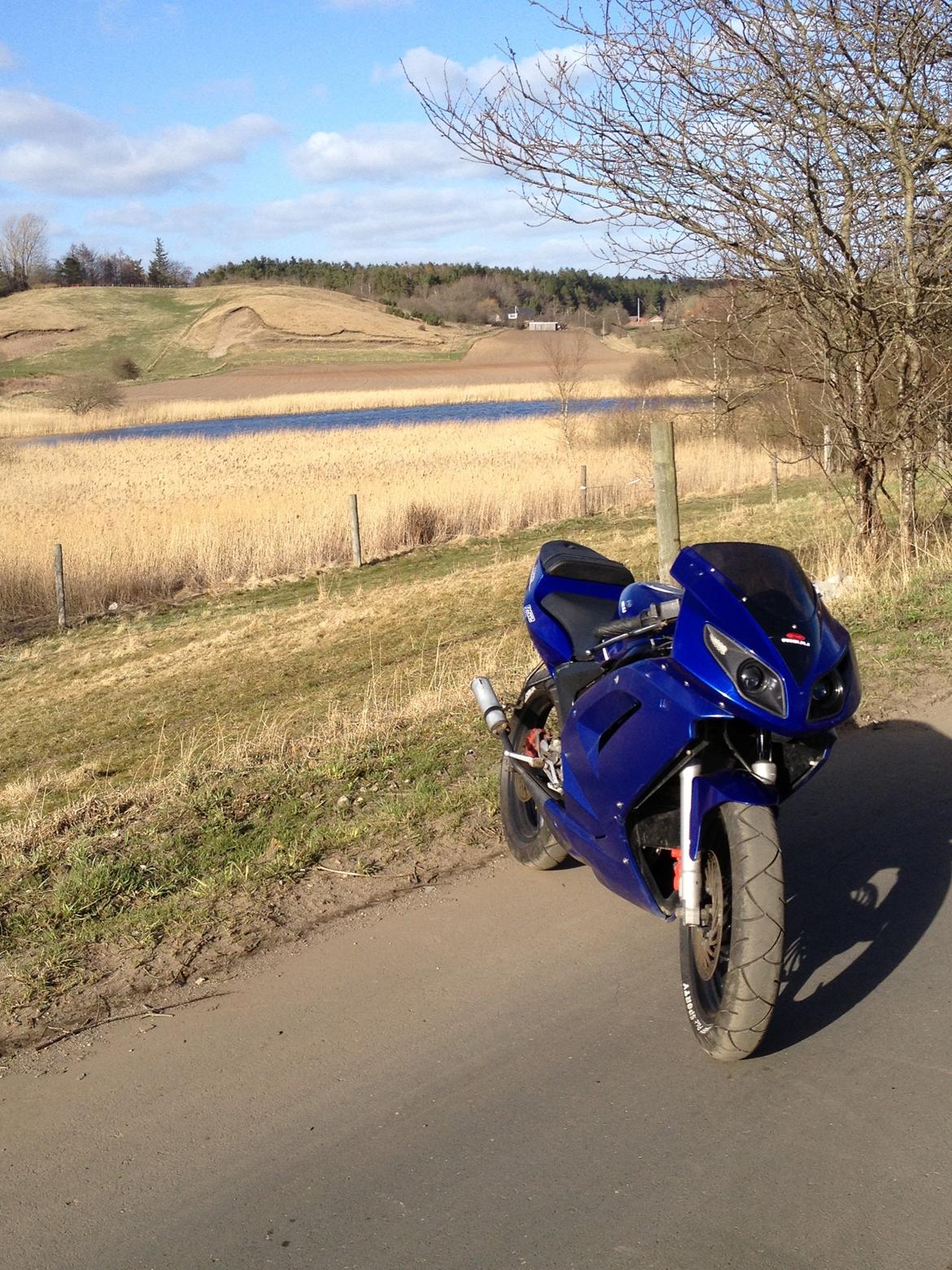 Rieju Rs2 Matrix billede 3