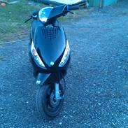Piaggio Zip 30 2 takt