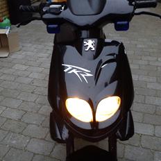 Peugeot tkr 50