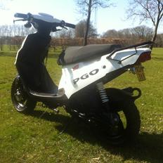 PGO Hot 50