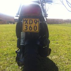 PGO Hot 50