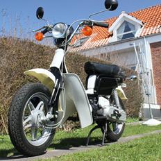 Suzuki Fz50