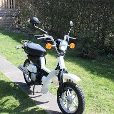 Suzuki Fz50