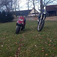 Gilera stalker