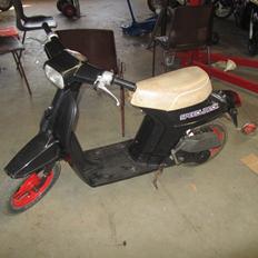Honda melody