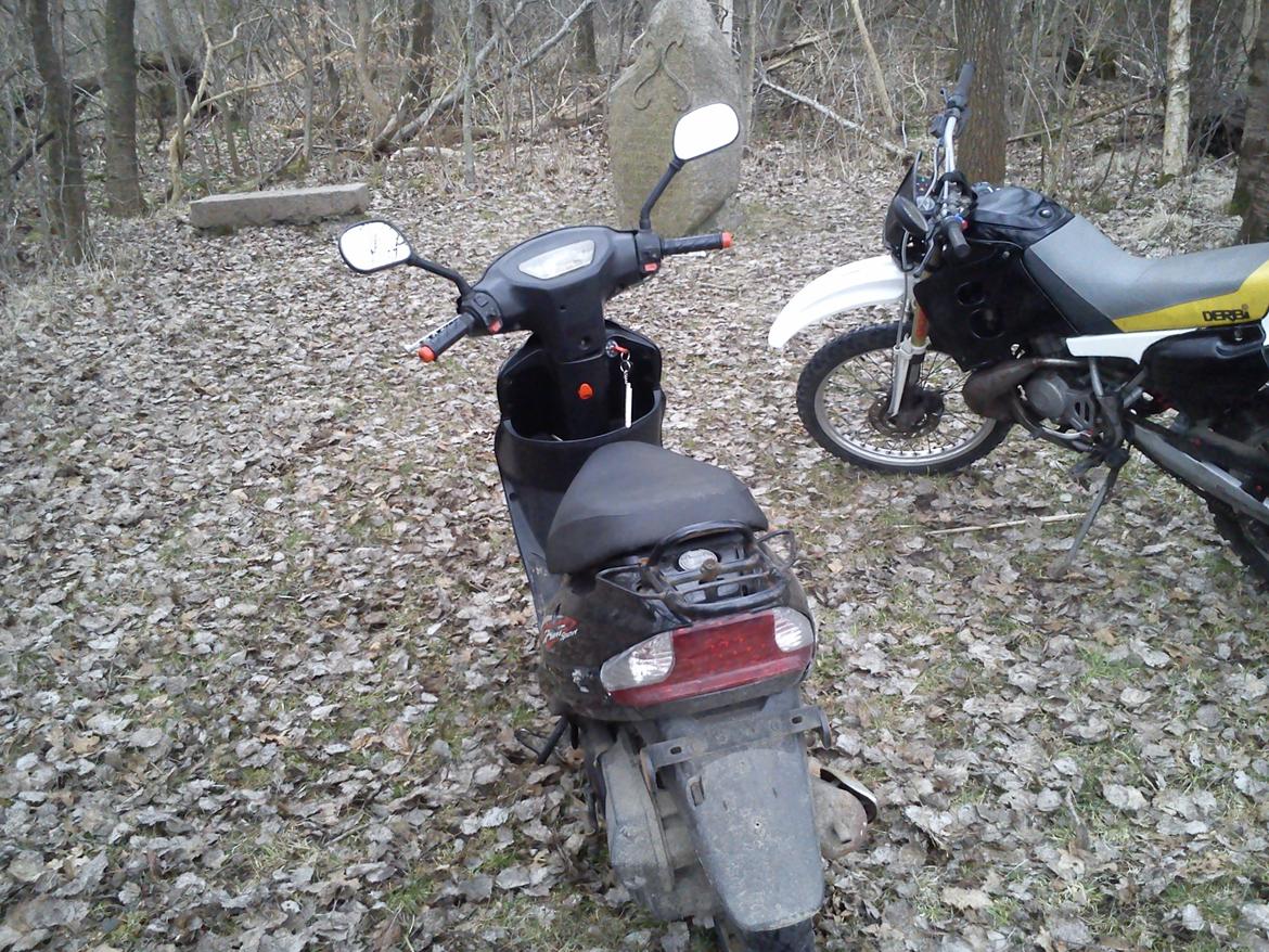 Giantco sprint billede 11