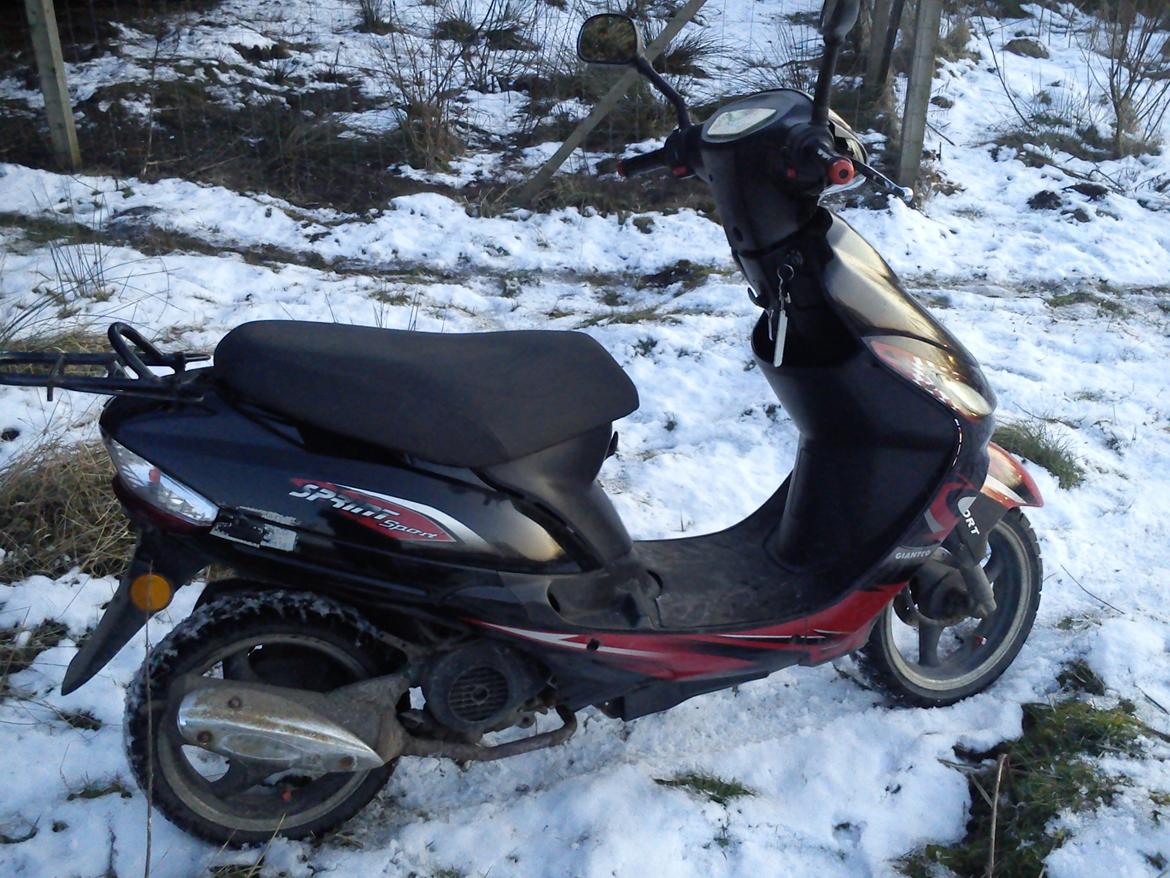 Giantco sprint billede 13