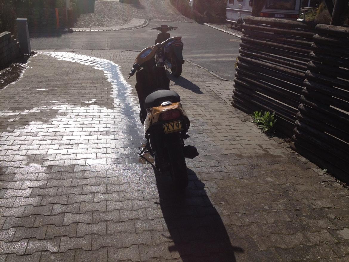 PGO hot 50 billede 2