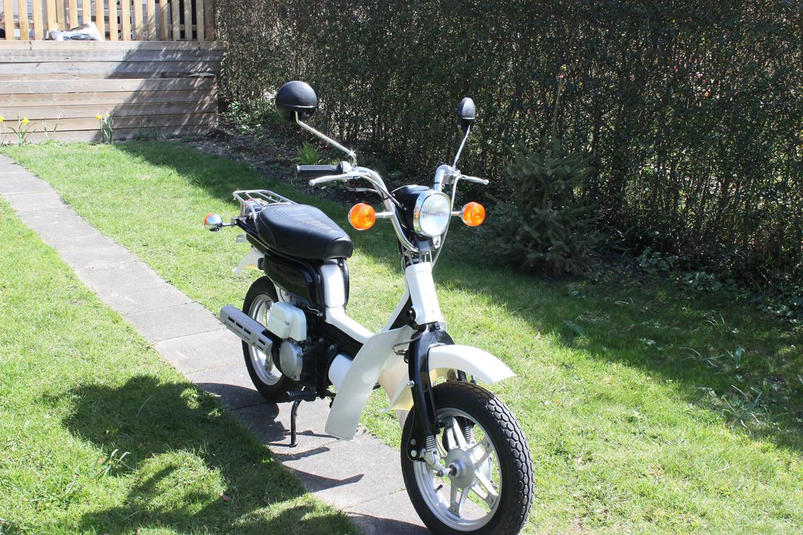 Suzuki Fz50 billede 3