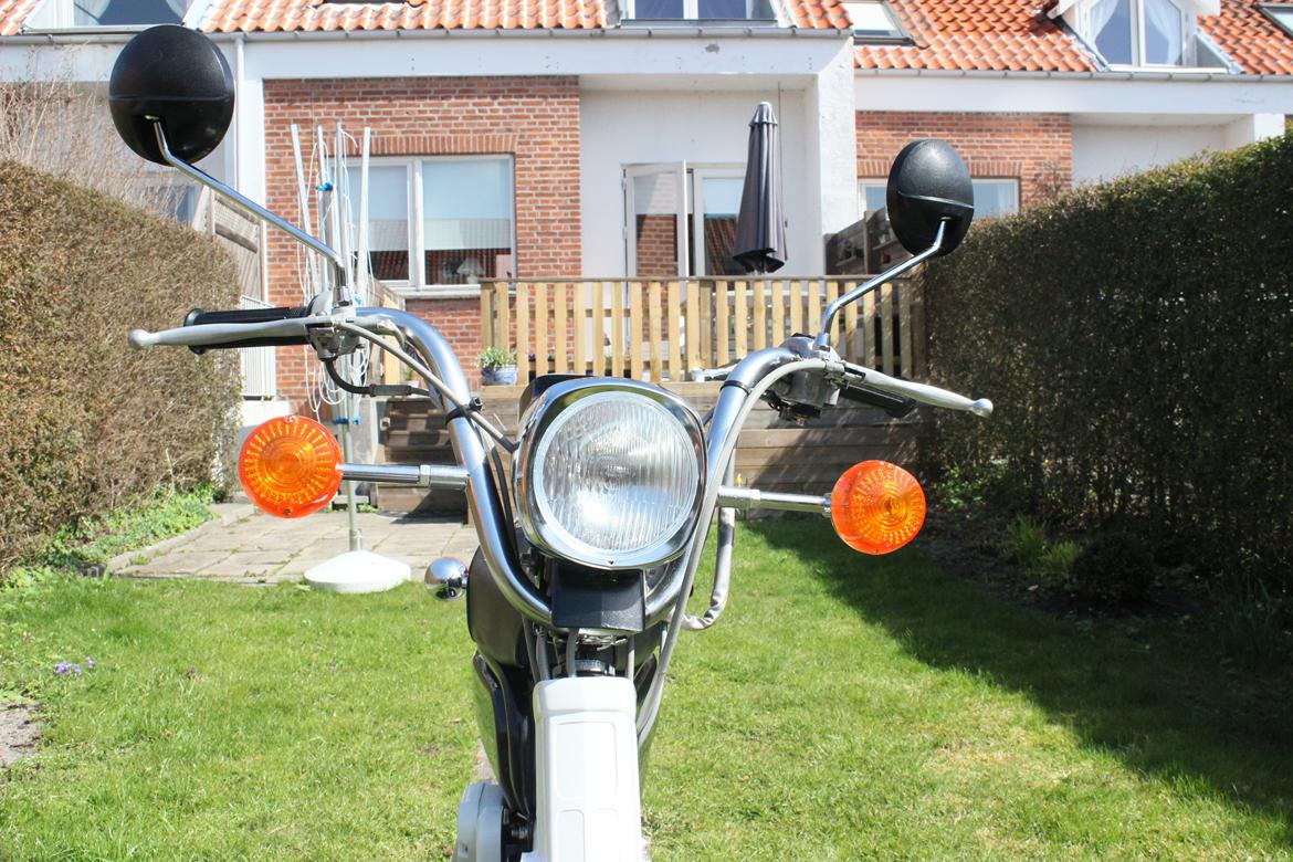 Suzuki Fz50 - Den stirrer ind i din sjæl billede 4