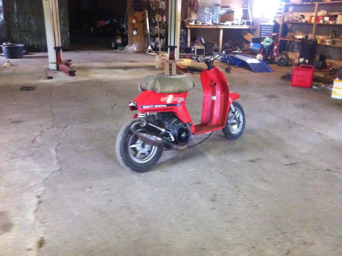 Honda melody mini VÆK. billede 10