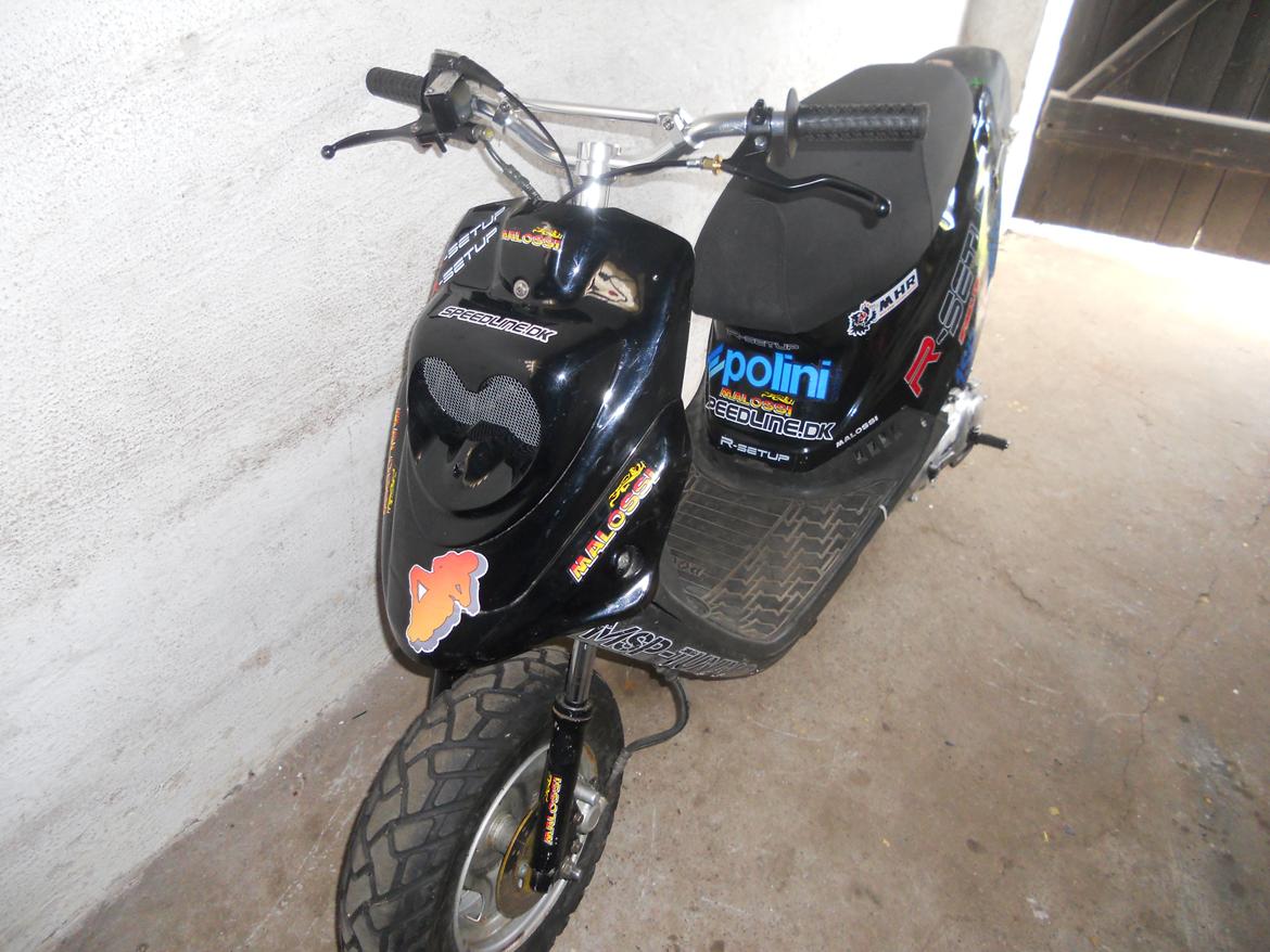 PGO Hot 50 EVO 2 AC billede 3