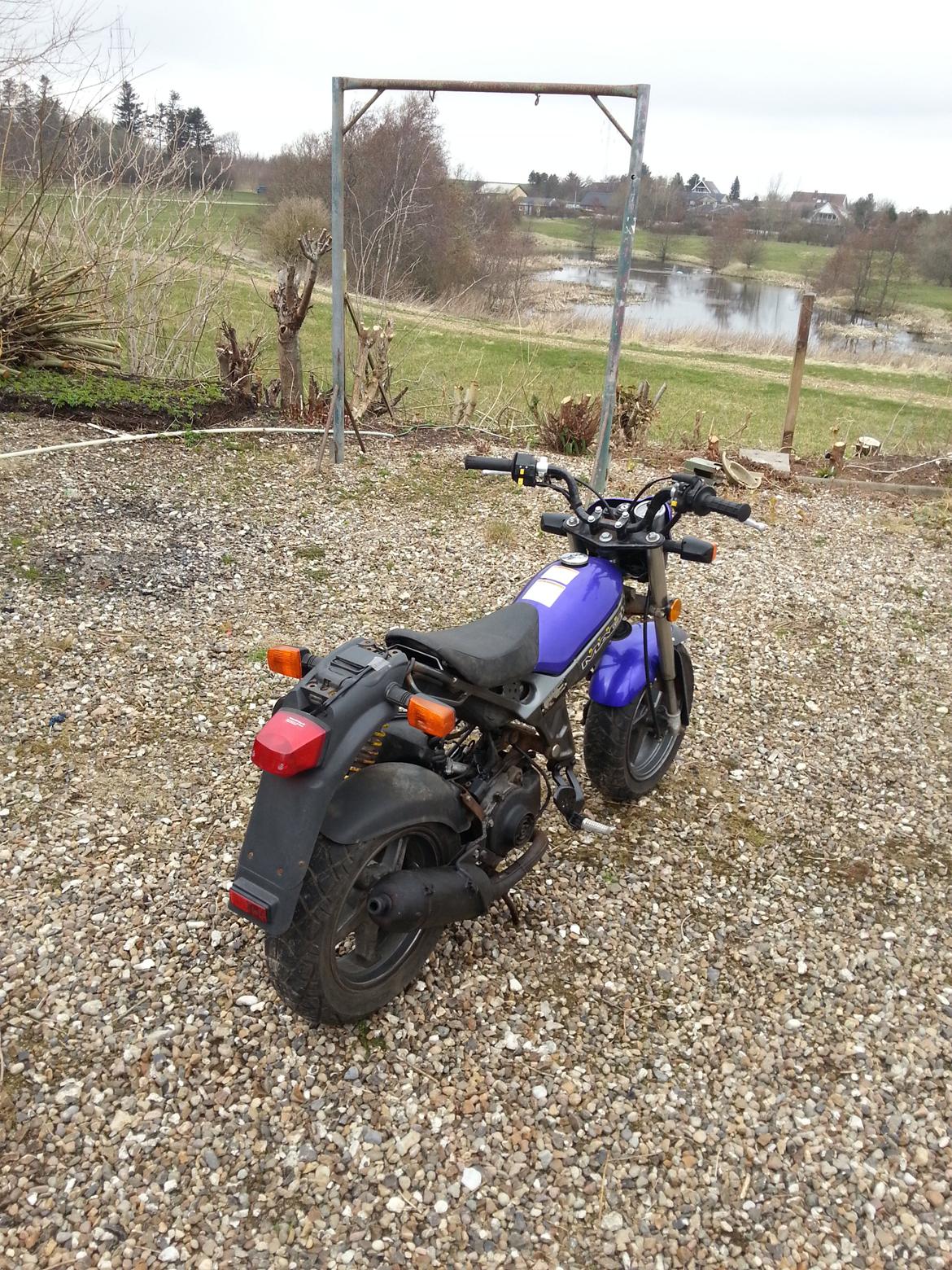 Suzuki Street Magic billede 5