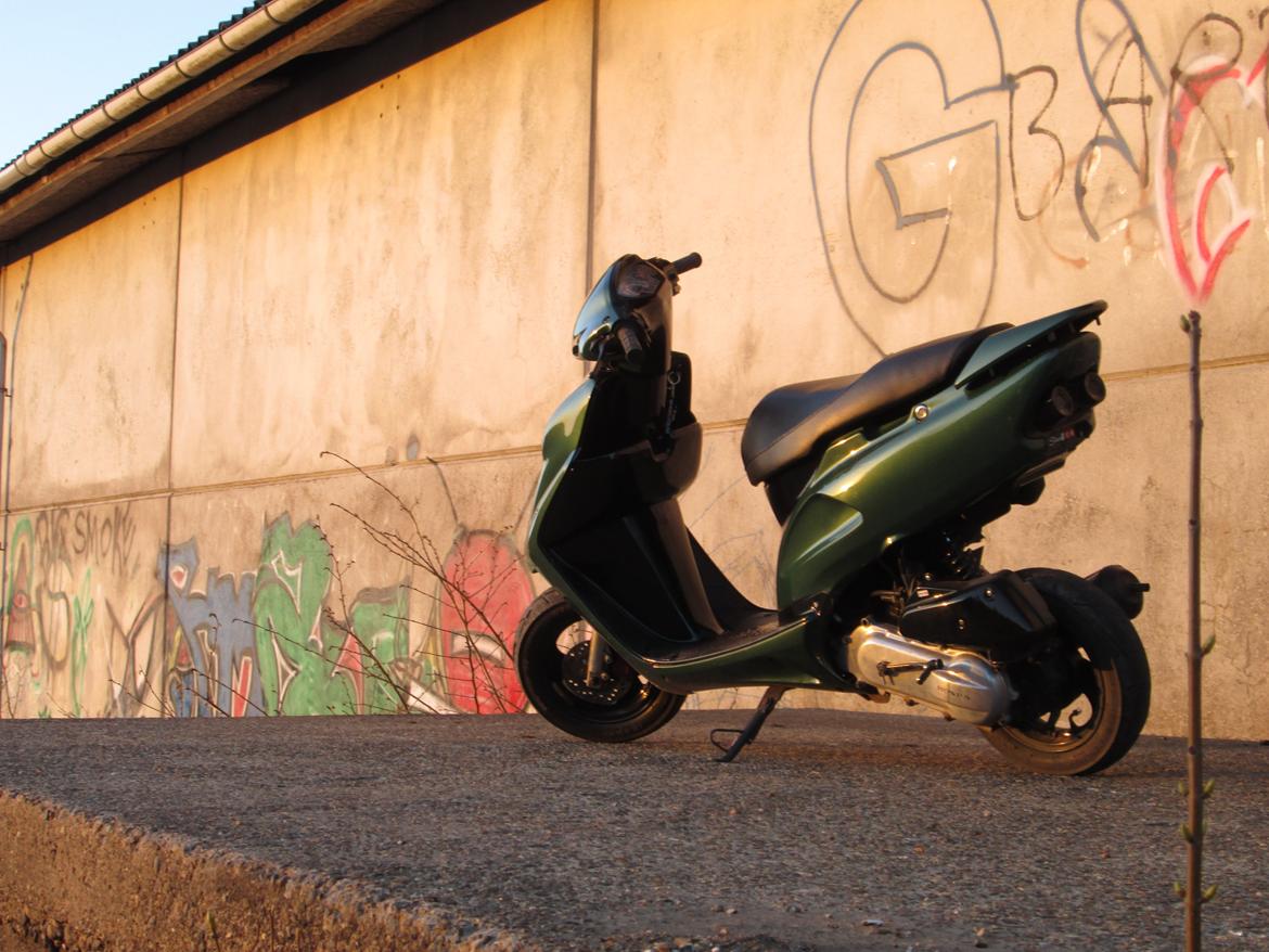 Honda Sfx billede 16