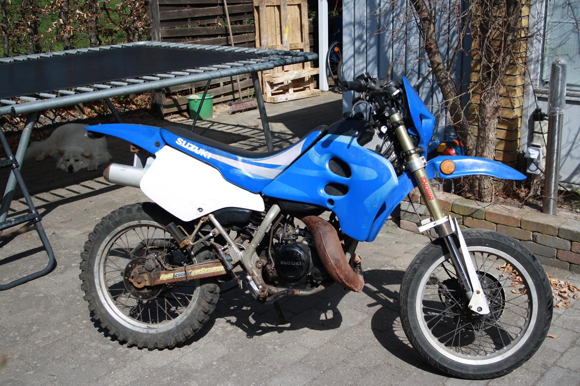 Suzuki SMX billede 2