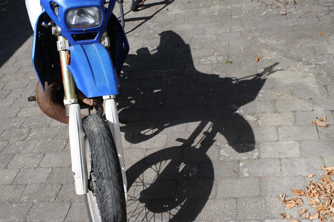 Suzuki SMX billede 7