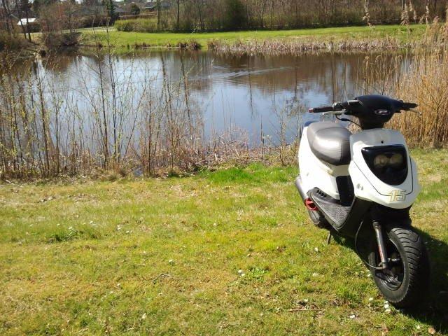 PGO HOT 50 til salg 2700 billede 18