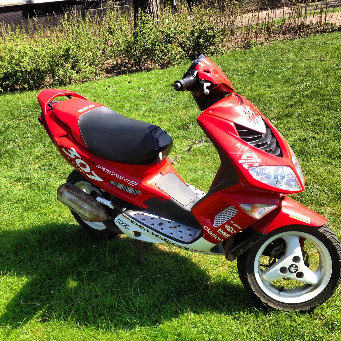 Peugeot WRC 307 billede 1