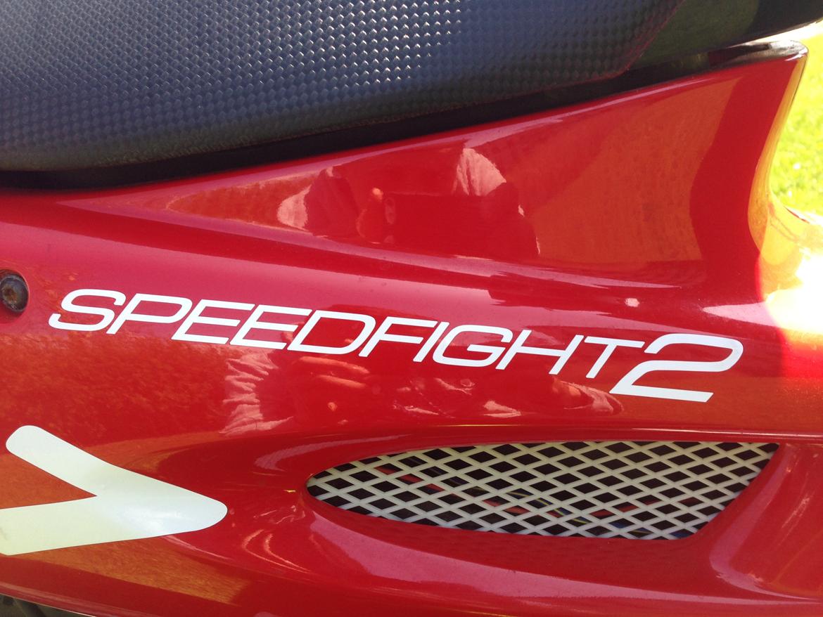 Peugeot WRC 307 billede 2