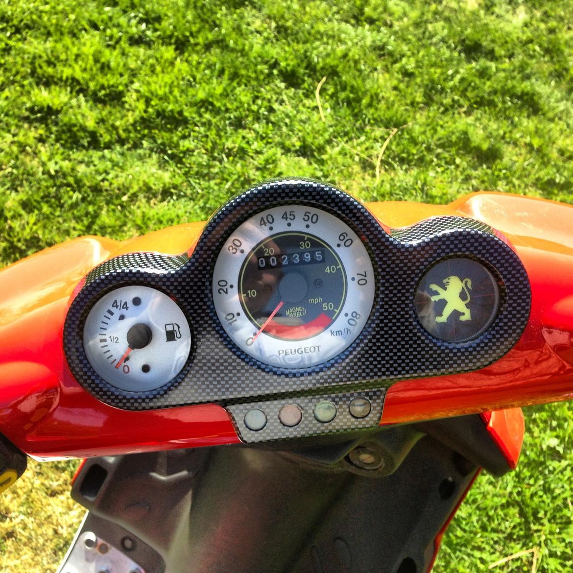 Peugeot WRC 307 billede 5