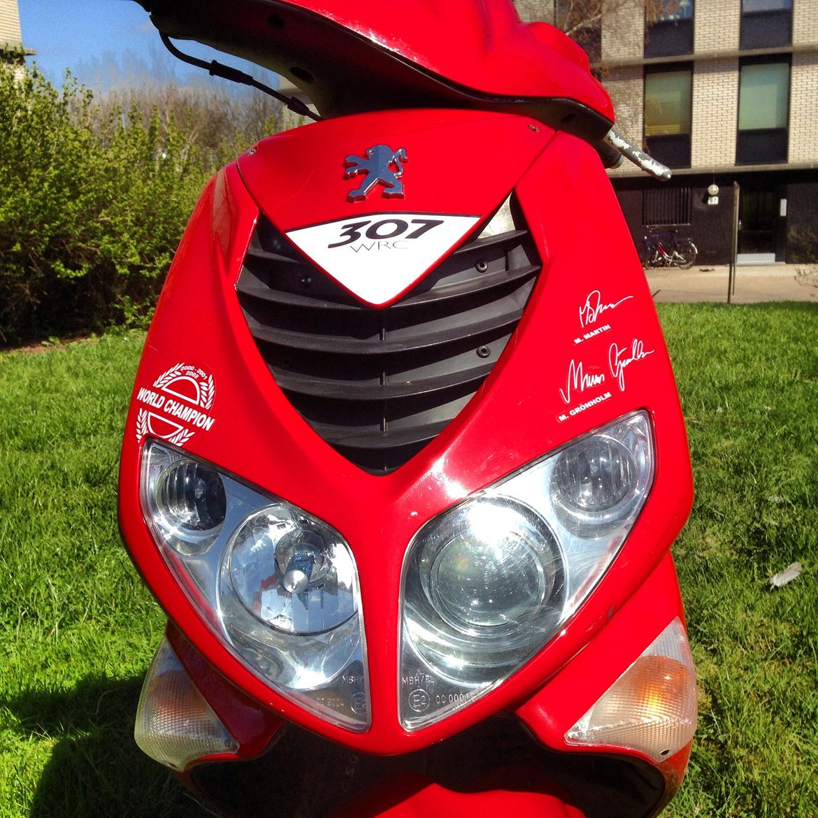 Peugeot WRC 307 billede 7