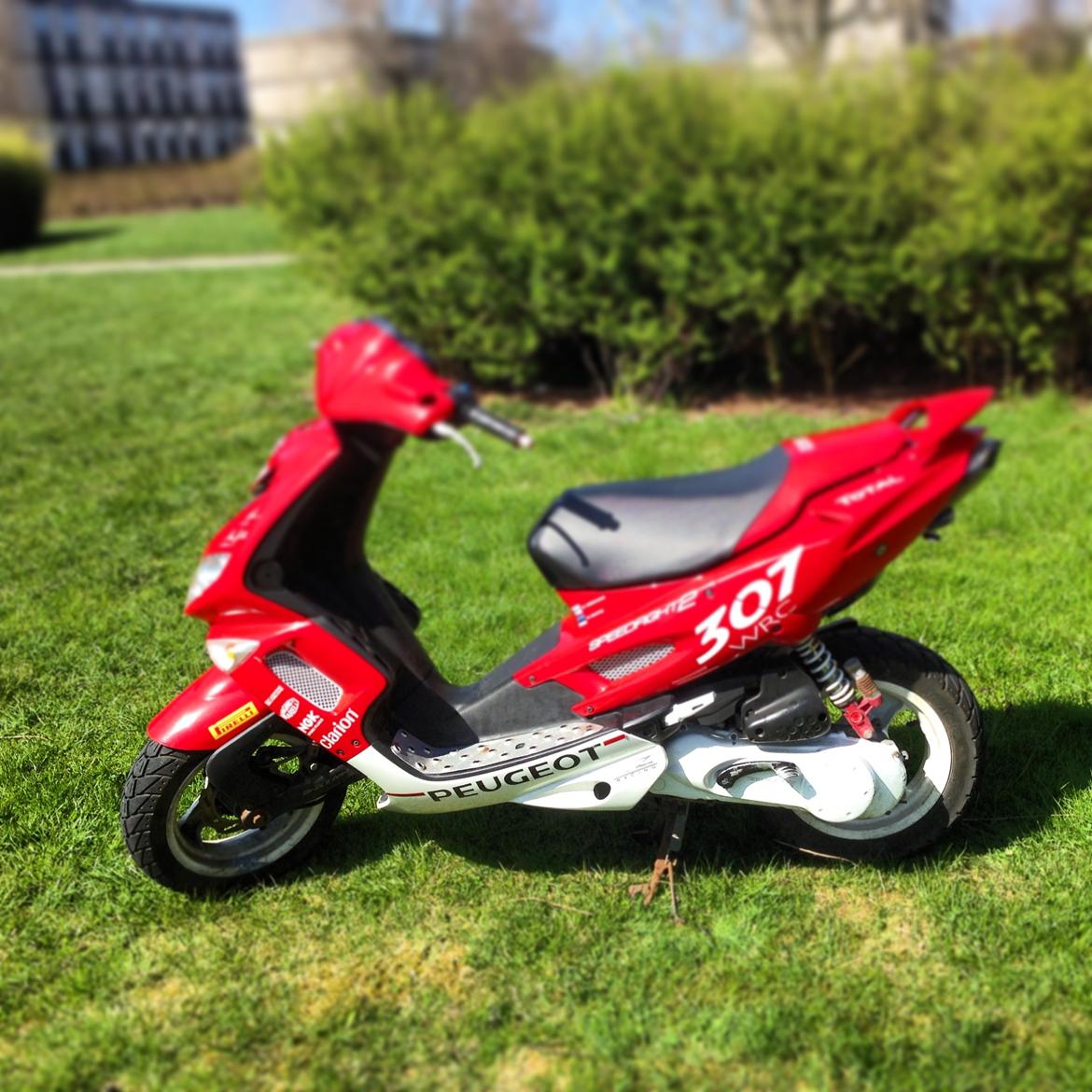 Peugeot WRC 307 billede 9