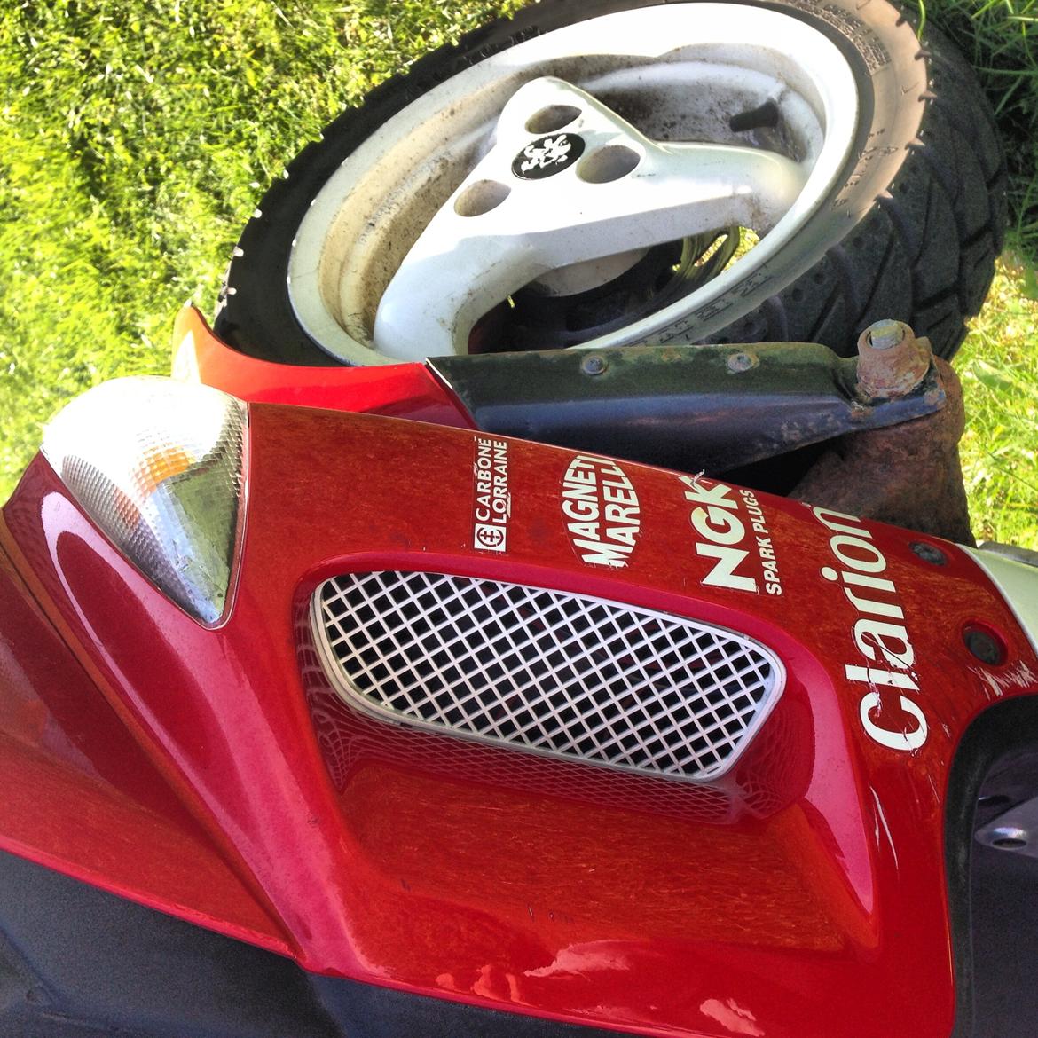 Peugeot WRC 307 billede 10