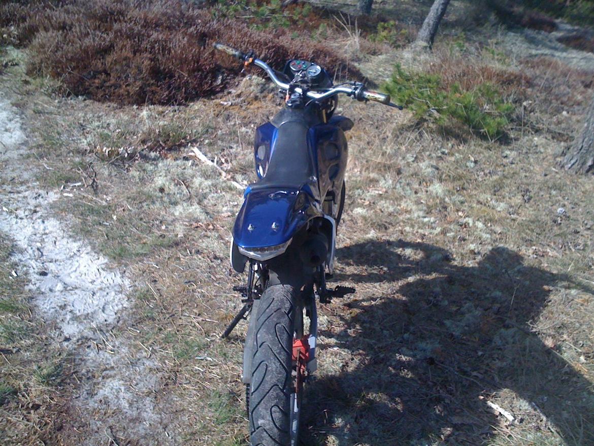 Suzuki SMX billede 9