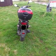 PGO hot x/ hot 50 SP