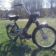 Puch Maxi K E50(Dirty Bertha)