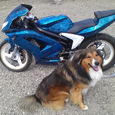 Rieju Rs 2 Matrix SOLGT