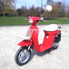 Honda Melody - SOLGT