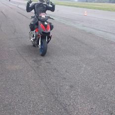 Aprilia SR 50 Team Speed (Tidl. Scooter)