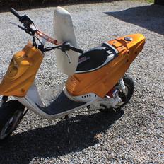 PGO Hot 'Æ vilddyr'