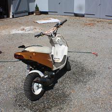 PGO Hot 'Æ vilddyr'