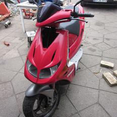 Derbi predator