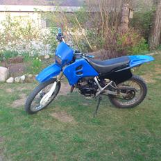 Suzuki rmx