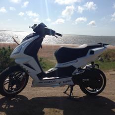 Peugeot Speedfight 3 RS