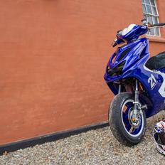 Yamaha Aerox Team speed